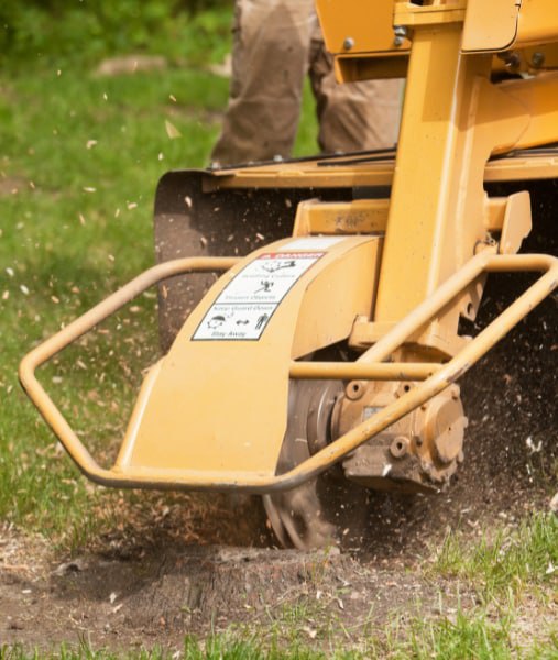 This is a photo of stump grinding being carried out in Paddock Wood. All works are being undertaken by PW Tree Surgeons