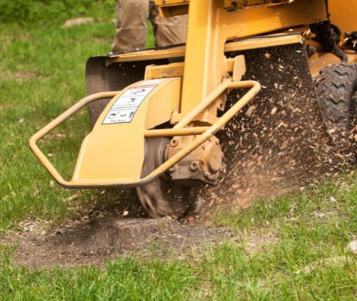 This is a photo of stump grinding being carried out in Paddock Wood. All works are being undertaken by PW Tree Surgeons